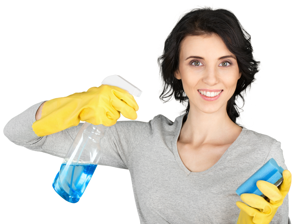 Cleaning Services